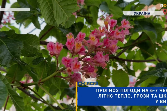 Суспільство - a1f409f3-6b15-435c-9837-bc24589a646f - зображення